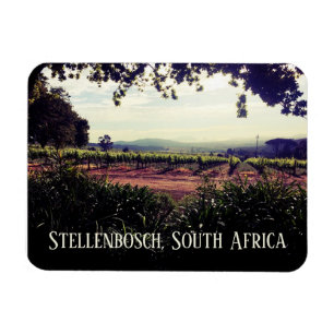 Stellenbosch, Südafrika Magnet