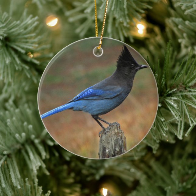 Steller-Jay (Cyanocitta stelleri) Keramik Ornament (Baum)