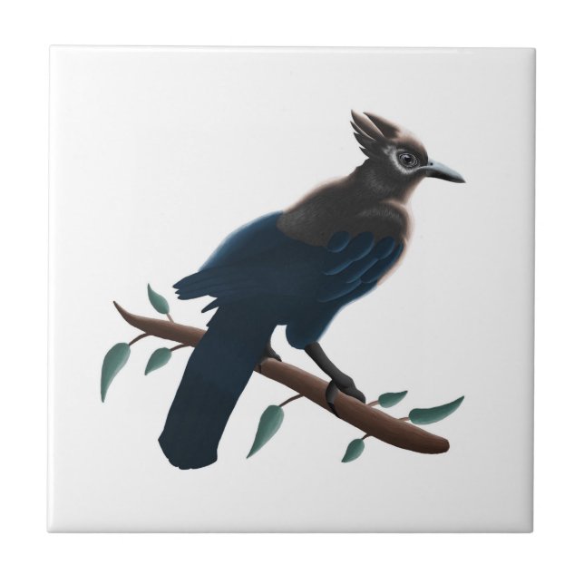 Steller-Jay  Fliese (Vorderseite)