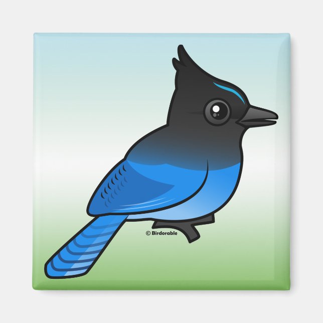 Steller-Jay Magnet (Vorne)