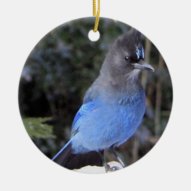 Steller-Jay-Ornament Keramik Ornament (Vorne)