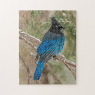 Steller-Jay-Vogel im Baum Puzzle