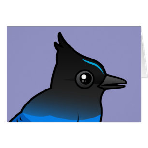 Stellers Jay
