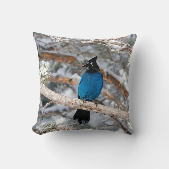 Steller's Jay am Wintertag Kissen (Vorderseite)