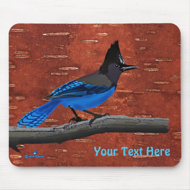 Stellers Jay auf der inneren Birkenhalde Mousepad (Vorne)