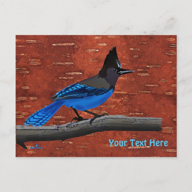 Stellers Jay auf der inneren Birkenhalde Postkarte (Vorderseite)