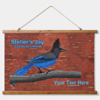 Stellers Jay auf der inneren Birkenhalde
