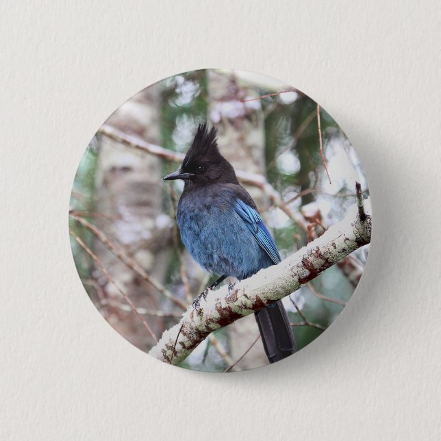 Stellers Jay Button (Vorderseite)
