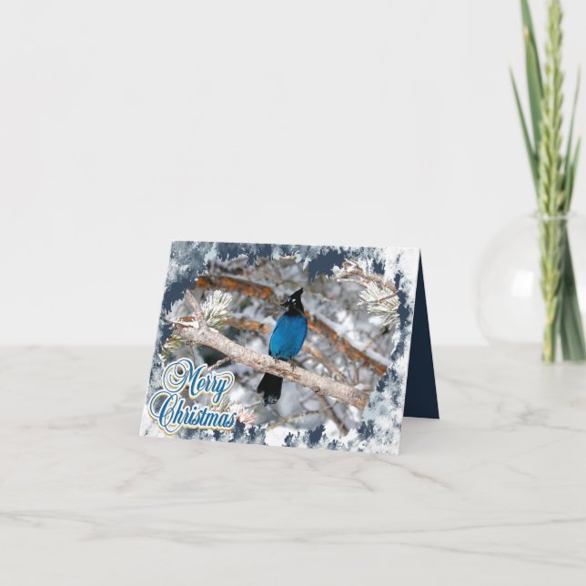 Steller's Jay Frohe Weihnachtskarte Feiertagskarte (Vorderseite)