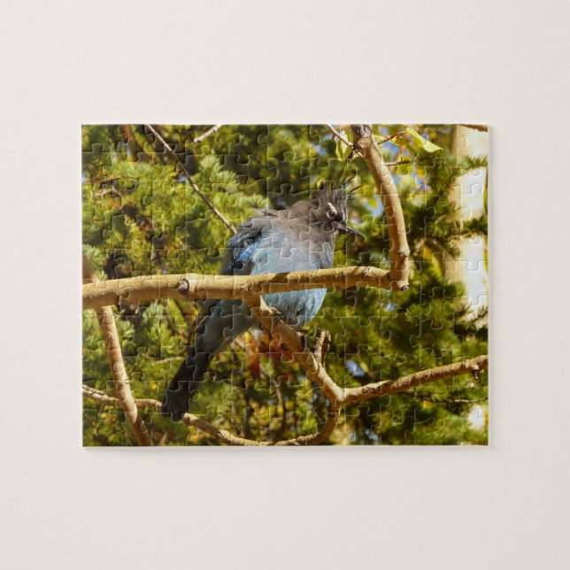 Steller's Jay im Rocky Mountain National Park Puzzle (Horizontal)