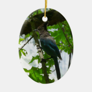 Steller's Jay im Yosemite-Nationalpark Keramikornament