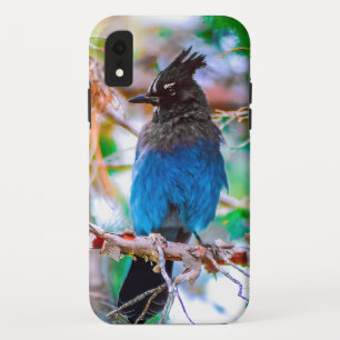 Steller's Jay - Original Foto Case-Mate iPhone Hülle