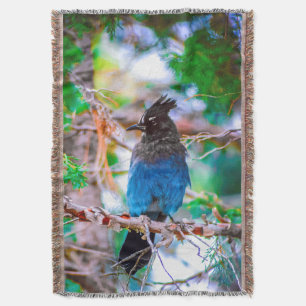 Steller's Jay - Original Foto Decke