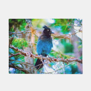 Steller's Jay - Original Foto Fußmatte