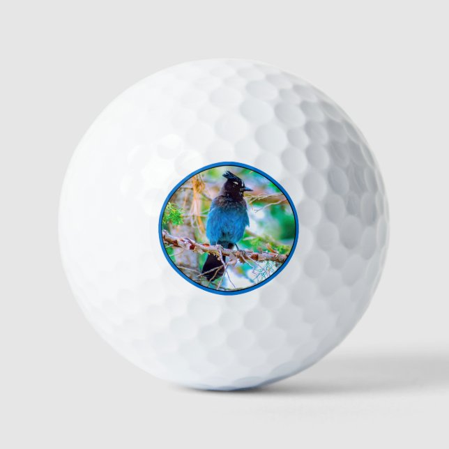 Steller's Jay - Original Foto Golfball (Vorderseite)