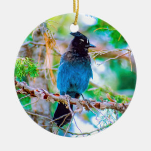 Steller's Jay - Original Foto Keramik Ornament