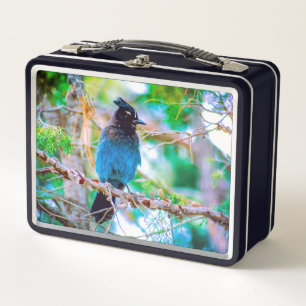 Steller's Jay - Original Foto Metall Brotdose