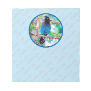 Steller's Jay - Original Foto Notizblock