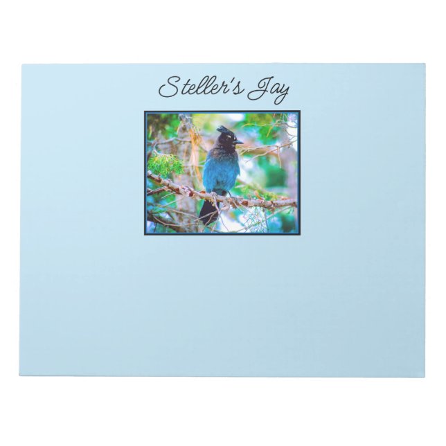Steller's Jay - Original Foto Notizblock (Vorderseite)