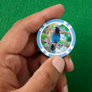Steller's Jay - Original Foto Pokerchips