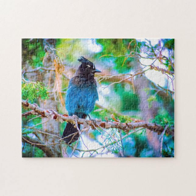 Steller's Jay - Original Foto Puzzle (Horizontal)