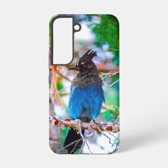 Steller's Jay - Original Foto Samsung Galaxy Hülle (Rückseite)