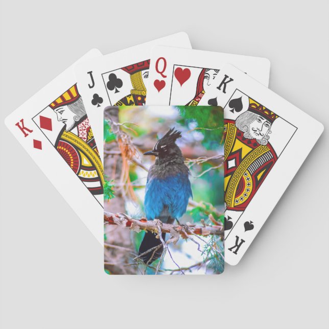 Steller's Jay - Original Foto Spielkarten (Rückseite)