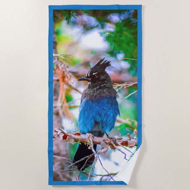 Steller's Jay - Original Foto Strandtuch (Vorderseite)