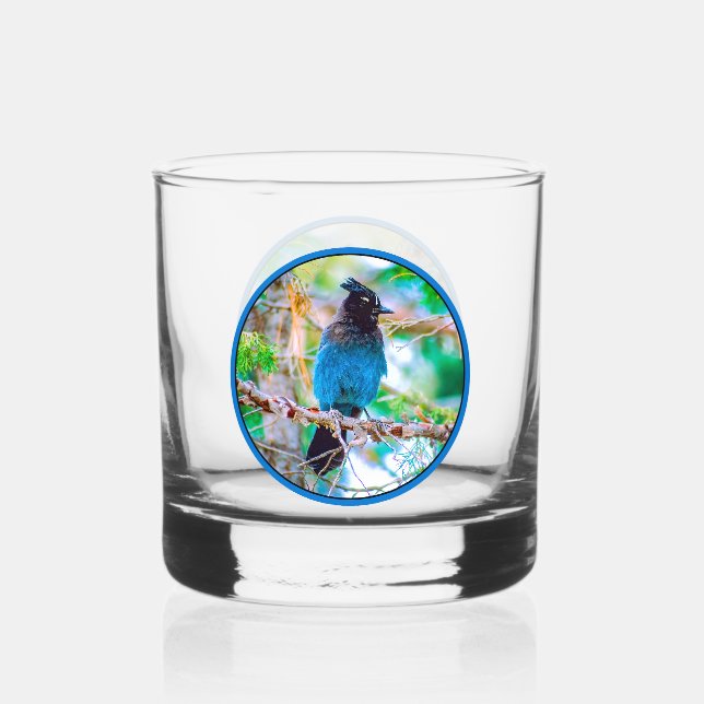 Steller's Jay - Original Foto Whiskyglas (Vorderseite)