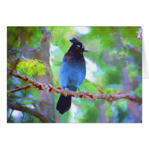 Steller's Jay Painting - Original Bird Art