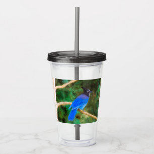 Steller's Jay Painting - Original Bird Art Acryltrinkbecher