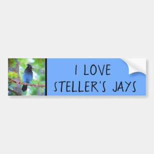 Steller's Jay Painting - Original Bird Art Autoaufkleber