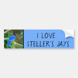 Steller's Jay Painting - Original Bird Art Autoaufkleber