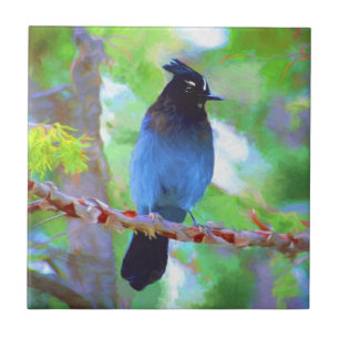 Steller's Jay Painting - Original Bird Art Fliese