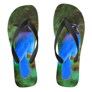 Steller's Jay Painting - Original Bird Art Flip Flops