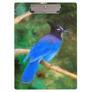 Steller's Jay Painting - Original Bird Art Klemmbrett
