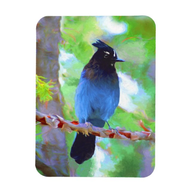 Steller's Jay Painting - Original Bird Art Magnet (Vertikal)