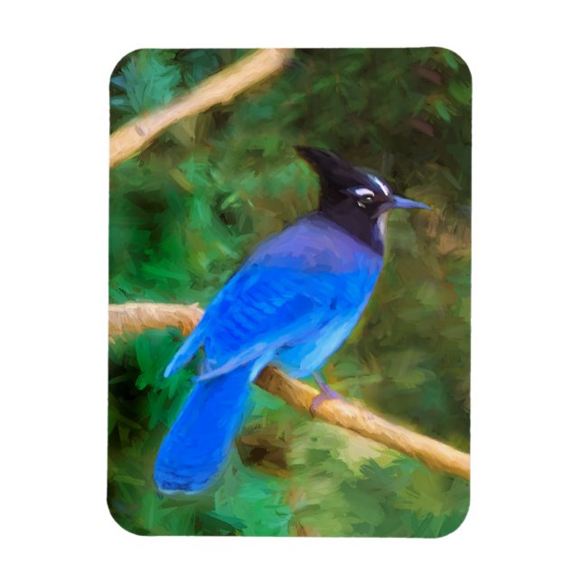 Steller's Jay Painting - Original Bird Art Magnet (Vertikal)