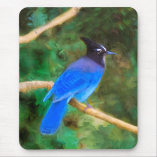 Steller's Jay Painting - Original Bird Art Mousepad