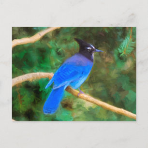 Steller's Jay Painting - Original Bird Art Postkarte
