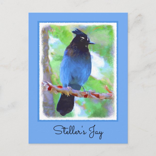 Steller's Jay Painting - Original Bird Art Postkarte (Vorderseite)