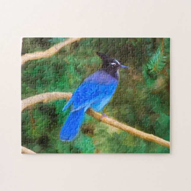 Steller's Jay Painting - Original Bird Art Puzzle (Horizontal)