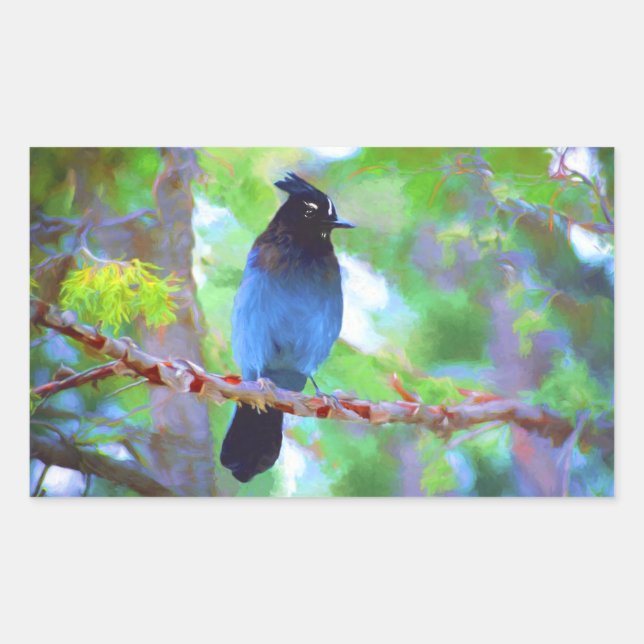 Steller's Jay Painting - Original Bird Art Rechteckiger Aufkleber (Vorderseite)