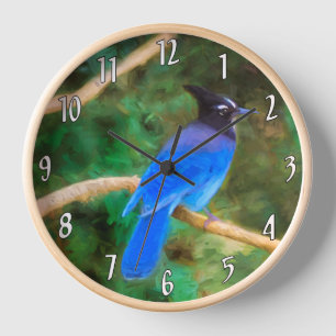 Steller's Jay Painting - Original Wild Bird Art Uhr