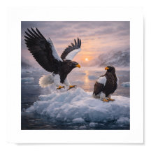 Stellers Seeadler (Haliaeetus pelagicus) –