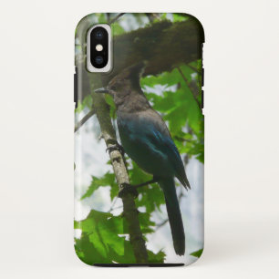 Stellershäher im Yosemite-Nationalpark Case-Mate iPhone Hülle