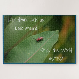 STEM-Insektennatur Puzzle