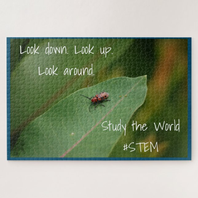 STEM-Insektennatur Puzzle (Horizontal)