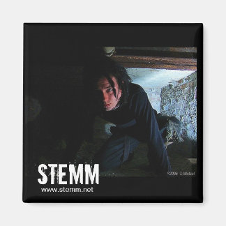 STEMM: Dan Magnet