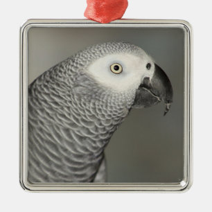 Stently African Gray Parrot Ornament Aus Metall